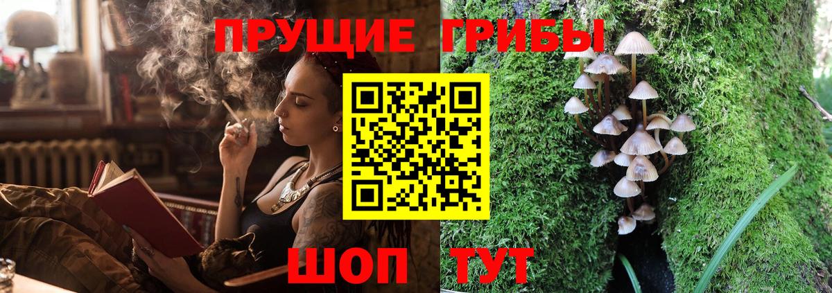 Галлюциногенные грибы ЛСД Кудрово