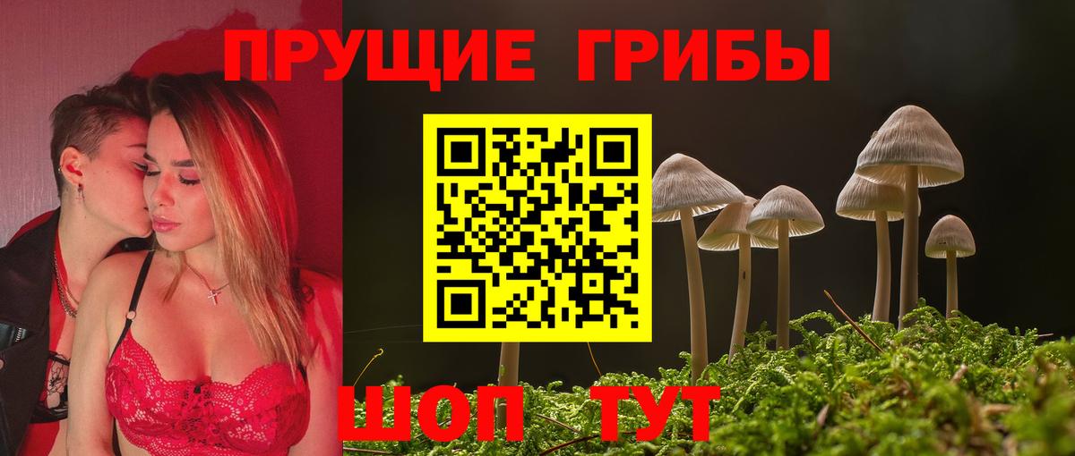Галлюциногенные грибы прущие грибы  Псилоцибиновые грибы Cubensis  Кудрово  Вход с VPN 
